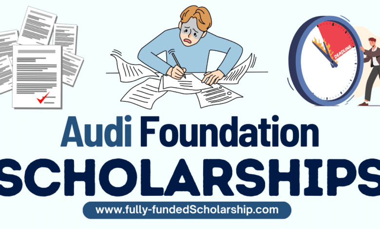 Audi Environmental Foundation Scholarship 2024 Open