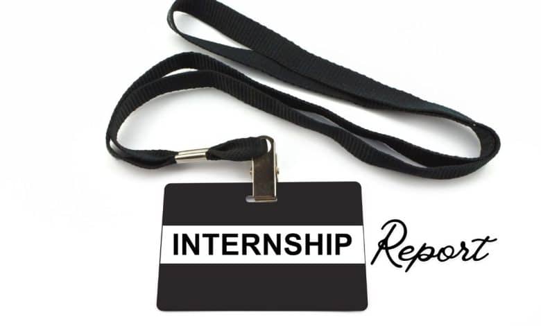 How to Write Internship Reports Professionally - Complete Guide