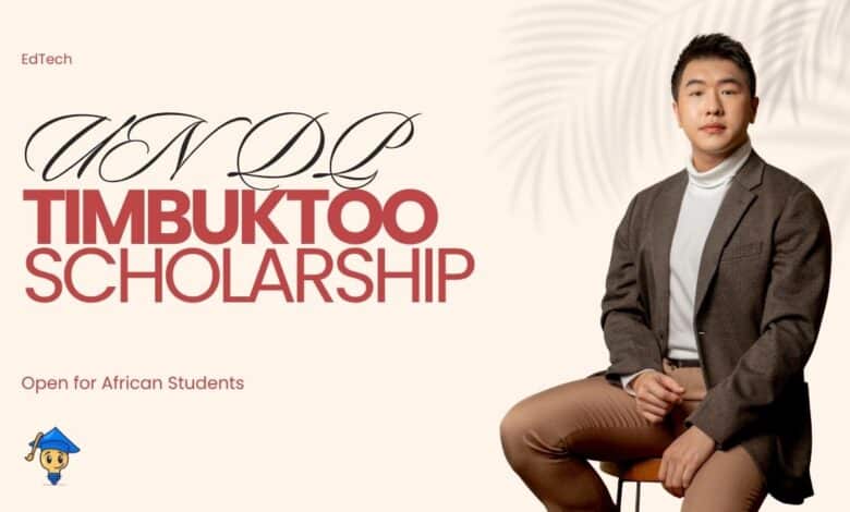 UNDP timbuktoo EdTech Incubation Scholarship 2027 Opens for African Startups