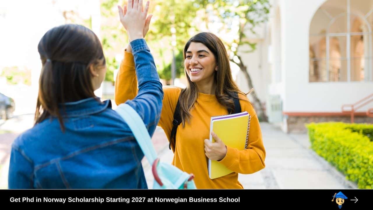 Get Phd in Norway Scholarship Starting 2027 at Norwegian Business School